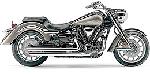 .SPEEDSTER SLASHDOWN EXHAUST SYSTEM FOR ROADLINER 