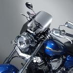 DEFLECTOR SCREEN LIGHT TINT FOR RAIDER (N2591-01)