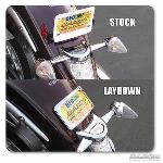 CURVED LICENSE PLATE KIT FOR ROADLINER / STRATOLINER 