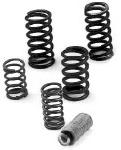 HI PERFORMANCE CLUTCH SPRING SET FOR M109R