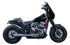 2:1 50 STATE EXHAUST SYSTEM - M8 SOFTAIL - STAINLESS STEEL