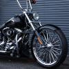 FENDERS