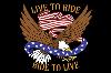 LIVE TO RIDE 6