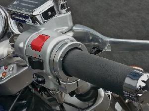 BRAKEAWAY CRUISE CONTROL (See description for your bike application)