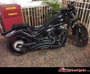 BLACK SHARP CURVE RADIUS EXHAUST FOR RAIDER