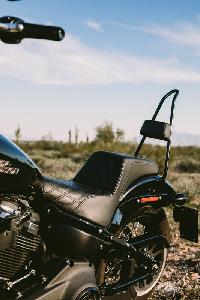 SISSYBAR FOR HARLEY SOFTAIL 7
