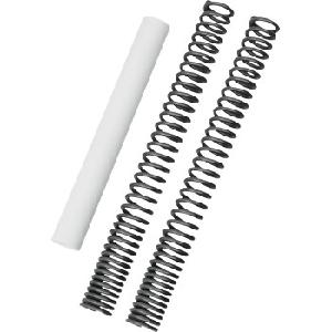 FORK SPRING KIT FOR REBEL 1100