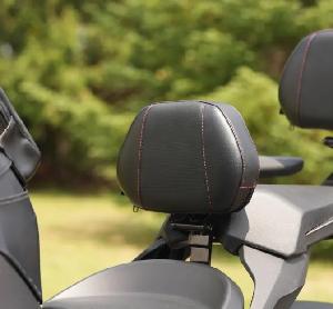 QUICK DETACH BACKREST RYKER
