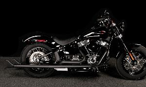 M8 TRUE DUALS FOR SOFTAIL 39″ BLACK 