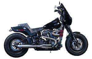 2:1 50 STATE EXHAUST SYSTEM - M8 SOFTAIL - STAINLESS STEEL