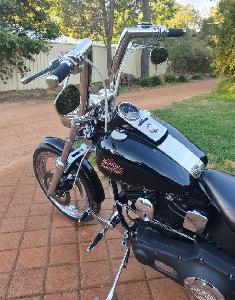 1.25” THICK HIGHBALL BARS FOR 2025+ SOFTAIL MODELS