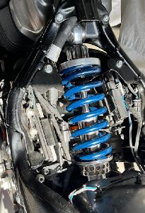 WORLD CHAMPION M8 SOFTAIL SHOCK - 2018-2023