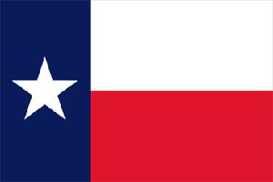 TEXAS 6X9 FLAG 