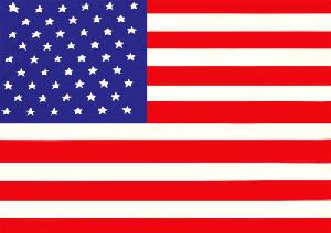 USA 6X9 FLAG