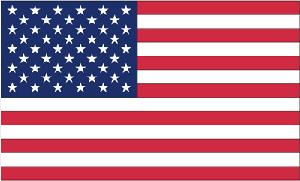 AMERICAN FLAG 6