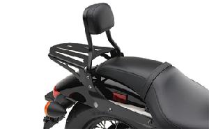 BLACK LUGGAGE RACK FOR COBRA BACKREST ONLY (02-3602B)