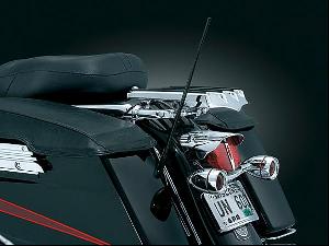 DUAL FUNCTION FLEXIBLE ANTENNAS 