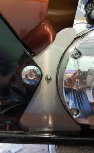 LOWER SIDE PLATE COVER